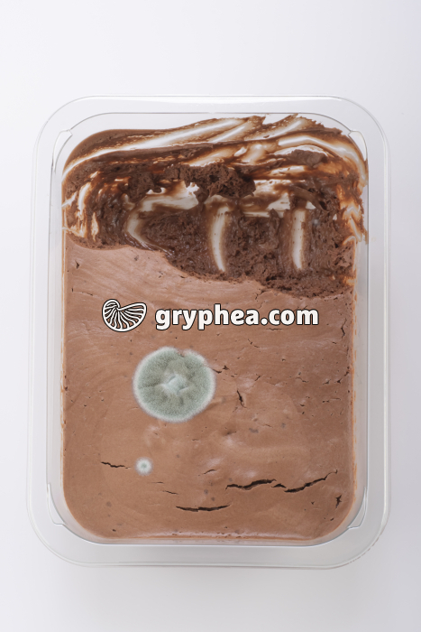 Moisissures sur mousse au chocolat - contamination (Penicillium) - gryphea.org